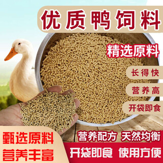Qingyixuan duck feed, special pellets for ducks, duck opening feed, duck food, pet duck and goose food, for fishing and nesting, medium and large duck feed 5jin jin is equal to 0.5kg