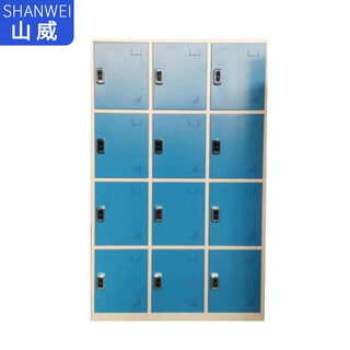 Shanwei customized steel locker 12-door card swipeable locker with mezzanine style light blue with code