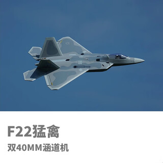 BILLY RICE涡喷电动涵道固定翼航模飞机F22猛禽战斗机涵道模型飞机 RTF全套需自行组装调试