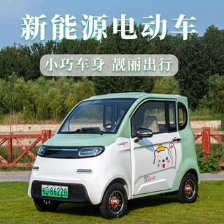 Jinpeng peng new energy electric four-wheeler household women's small transportation car adult gas-electric heater car battery car car purchased car exclusive access control identification plate
