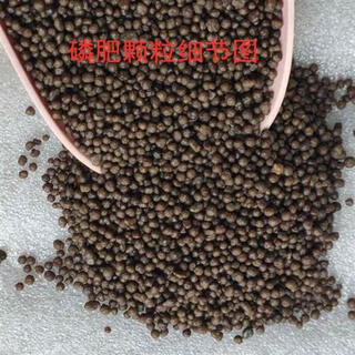 Phosphate de diamine engrais agricole engrais phosphaté engrais composé à haute concentration légumes fleurs et arbres fruitiers type général phosphate diammonique un jin jin équivaut à 0,5 kg