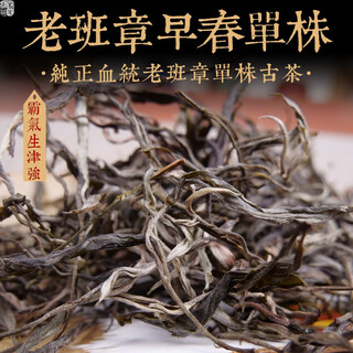 Ming guan zhongpin 2021 lao ban zhang early spring single ancient tree loose tea yunnan tea loose tea ancient tree tea 500g