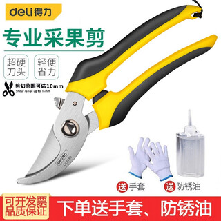 Deli (deli) fruit tree scissors, pruning scissors, garden flower scissors, gardening flowers and trees, branch pruning, thick branch pruning shears, labor-saving scissors, fruit branch scissors dl2789