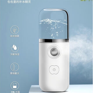 Kangzhi handheld mini facial steaming hot compress alcohol disinfectant hydrating device humidifier spray beauty device usb charging pearl white