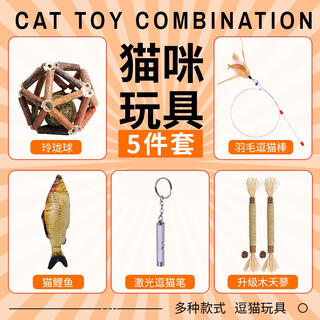 Pet deduo cat toy five-piece set funny stick cat toy set funny cat laser pen cat teething stick cat mint wood tianli five-piece cat toy set