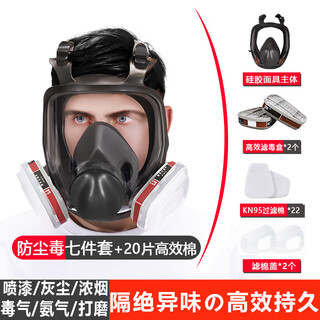 Gas mask, full face mask, toxic gas protection, carbon dioxide polishing, carbon monoxide chemical gas dust protection, industrial dust spray paint special poisoning, fire escape, household dust gas mask mask set + 20 pieces of filter cotton set