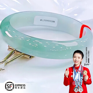 Shengliwei sf air transport burmese jade bracelet for women real jade ice seed landscape treatment mother and girlfriend valentine’s day gift inner diameter 58mm ring