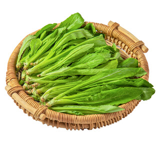 Selenium-enriched lettuce seedlings 200g