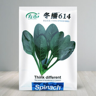 Shouhe spinach seeds shouguang winter and spring cold-resistant vegetables field rapeseed winter and spring sowing greenhouse seeds shouhe winter sowing 614 spinach 300g seeds (cold-resistant)