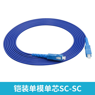 Armored fiber optic jumper sc to lc-fc-st rat-proof tensile single-mode single-core 10m/30/50m pigtail extension telecom-grade armored single-mode single-core sc-sc 20m