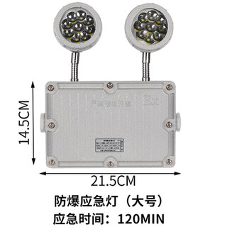 Explosion-proof emergency light bcj explosion-proof sign light double-sided explosion-proof safety exit evacuation indication double-head dual-purpose light explosion-proof emergency light (large size)