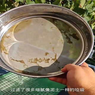 Tong nian's suitable fish pond filter screen fish tank 150 mesh 300 mesh stainless steel ultra-fine mesh round sieve fish waste filter diameter 15 cm 300 mesh -- width 16.5cm