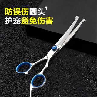 Cute star pet pet grooming scissors for cats and dogs teddy golden retriever hair trimming and barbering supplies curved scissors and downward scissors