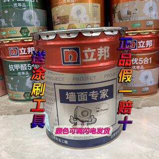 Nippon nippon wall expert 25kg interior wall latex paint indoor home self-brushing renovation wall paint environmentally friendly fire retardant paint 25kg white livable 99 wall latex paint