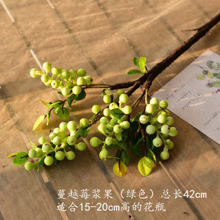 Xushansi cranberry berry artificial flower and fruit branch fruit fruit american shooting props nordic pastoral cranberry berry-green