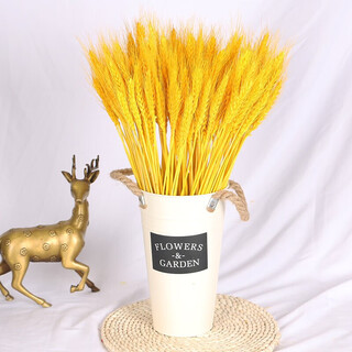 Shengshi taibao natural wheat ears dried flower bouquet opening barley flower basket living room pastoral decoration ornaments dried flowers flower arrangement photography props gold 200 pieces (without basket)