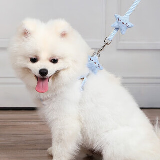 Amor pomeranian puppy leash small dog teddy bichon dog rope outdoor dog walking puppy dog chain pet supplies little starfish blue s recommended 2-6 jin jin equals 0.5 kg