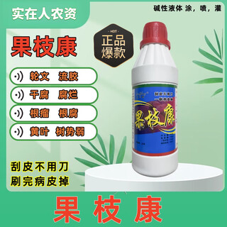 Guozhikang specializes in treating fruit tree rot, ring spot disease, dry rot, gummosis, root rot, and various fruit tree trunk symptoms. guozhikang 750g*1 bottle