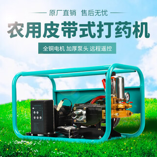 Electric sprayer, new high-voltage agricultural remote control tricycle, 48v-72v, new pesticide spray tool for fruit trees, 48-72v remote control belt conveyor, butter-free + 200m tube