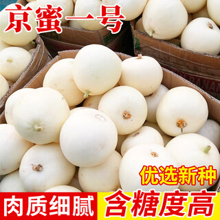 Zhongke maohua white-skinned melon seeds jingmi no. 1 early-maturing melon seeds hybrid thin-skinned white melon seeds fruit seeds jingmi no. 1 melon seeds 600 capsules