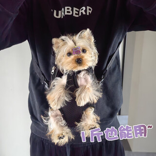 Ywzr yorkshire terrier dog backpack, portable dog walking bag, four-legged small puppy body, black, s, chest circumference 30cm, recommended 1-5jin, jin equals 0.5kg