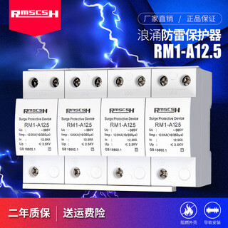 Shanghai people's 2p/4p first-level surge protector 220/380v lightning arrester lightning switch surge protector anti-lightning three-phase-12.5ka (first level)