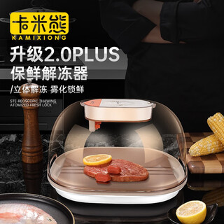 Xiaokouchangkai german constant temperature thawing artifact thawing meat steak thawing heat conduction plate household rapid thawing plate food thawing device upgraded second generation-orange thawing device