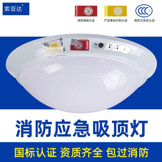Tin light led ceiling light corridor aisle staircase human body infrared induction sound and light control emergency fire garage power outage lighting emergency light 24w light source + human body induction