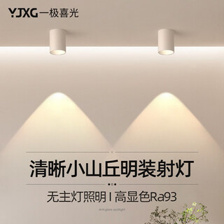 一极喜光明装筒灯家用过道灯原木风客厅防眩射灯卧室免开孔吸顶圆形无主灯 射灯-白筒白杯-自然4000K 7w(高110*径80mm)