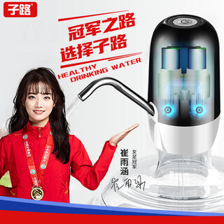 Zilu electric bottled water pump automatic water adder household water filler water pressure pump large barrel water suction dual pump black basic model + stainless steel pipe