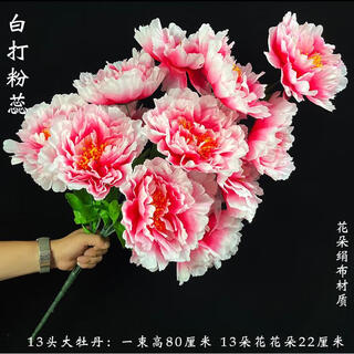 A bunch of peony bouquets for sweeping tombs. flowers placed in front of tombs to worship ancestors during the qingming festival. chrysanthemums and apple blossoms. 13 large peonies. 1 bouquet of white pistils.