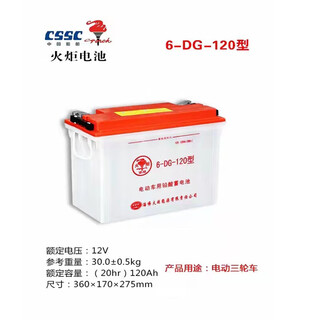 火炬蓄电池2V/6V/8V/12V适用高尔夫/观光/叉/巡逻/环卫/扫地/四轮电车 6dg120
