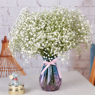Aiman gypsophila natural dried flower bouquet ins internet celebrity birthday new house decoration ornaments air-dried real flower arrangement home furnishings white gypsophila with m vase