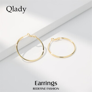 Qlady rose same style earrings feminine high-end large earrings 2025 new light luxury silver needle earrings birthday gift