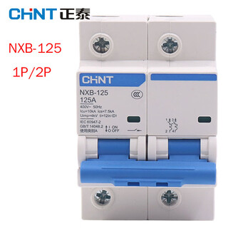 Chint (chnt) chint nxb-125 2p air switch 80a 100a 125a high power circuit breaker air switch household main switch