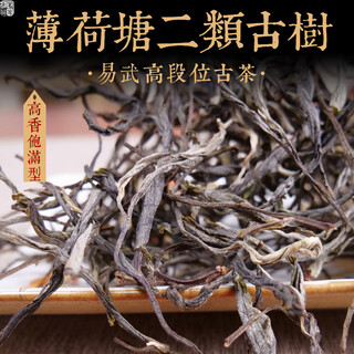 Mingguan zhongpin 23-year-old spring tea, mintang second-class high-stem ancient tree loose tea, yiwu high-end tea, thin quantity, pu'er tea loose tea, 500g