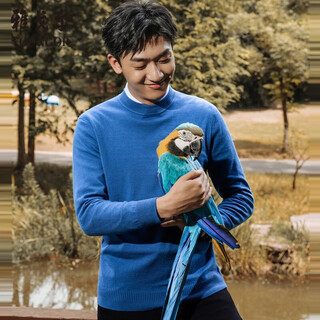 Youngor sweater merino wool pullover half turtle collar warm solid color men's underwear elegant premium sweater lake blue vyqw639986gba m 105cm