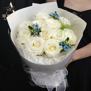 Airi flowers local express delivery giant bouquets of roses, birthday flowers, date flowers for girlfriends, gifts for besties, 11 white roses and blue star flowers mixed and matched bouquets