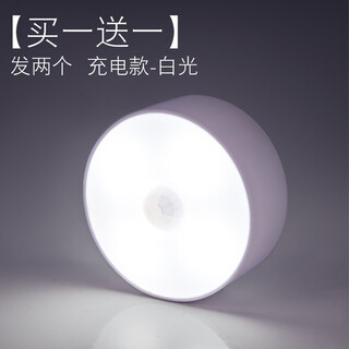 Nofeng human body sensor light smart night light led light control rechargeable home wardrobe aisle stairs corridor garage no-punch installation night light charging induction white light type 2 pieces + charging head