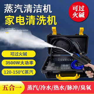 Ruizhi household high-pressure and high-temperature steam cleaner, household appliances, range hood, air conditioner, kitchen multi-function equipment, special cleaning all-in-one machine to disinfect car beauty film interior 3600w five-in-one (cold water hot water steam pulse ozone)