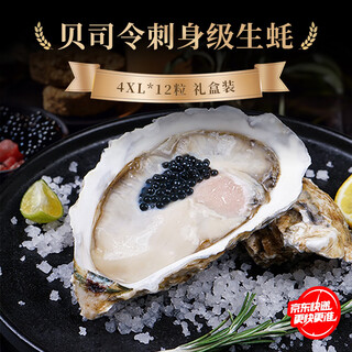 Bassling sashimi fresh rushan oysters 4xl*12 pcs gift box fresh seafood straight from the source