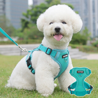 No-pet vest type dog leash small dog teddy bichon pomeranian harness puppy puppy walking rope dog chain blue size l (recommended 10-15 jin jin equals about 0.5 kg)