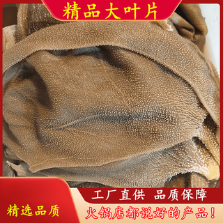 New esophagus hairy tripe, fresh and whole, available for next-day delivery in multiple locations, commercial tripe with bottom plate and large blade, wholesale hot pot ingredients, high-quality large knife blade without bottom plate, 5jin jin is equal to 0.5kg