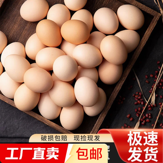 Cereal fresh eggs farmer free-range fresh eggs 40g single 5 10 pieces (40g/piece)