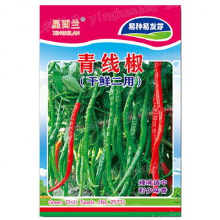 Complete collection of various vegetable seeds for the vegetable garden in all seasons, autumn, coriander, radish, cabbage, tomato, lettuce, green onion, spinach seeds, dark brown, 30 pieces of pepper