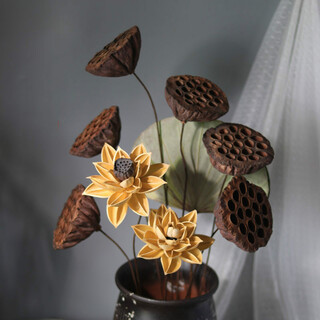 Aiman dried lotus flower bouquet lotus lotus real flower zen style air-dried chinese flower arrangement living room decoration ornaments to attract wealth combination 4 (without bottle)