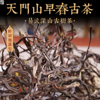 Ming guan zhongpin 2021 yiwu tianmen mountain early spring ancient tree loose tea yunnan ancient tree loose tea pu'er tea loose tea 100g