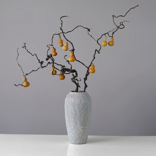 Aesthetic hacker art branches and trunks decorative ornaments zen flower arrangement dry branches flower bouquet real flowers living room floor-standing dry branches real flowers two gourds dry branches