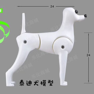 It it rui pet beauty practice teddy vip fake hair model fake dog hair fake head hair fake back hair full body hair individual teddy model skeleton