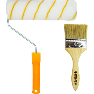 Caihong 9-inch roller brush 3-inch pig hair brush waterproof paint latex paint roller brush wall painting tool set